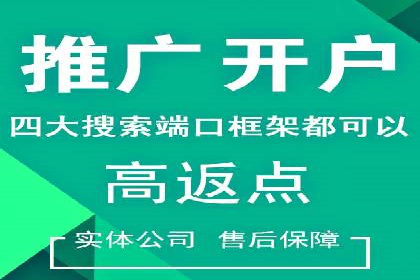 某公司SEM优化成功案例：从零到一的流量增长